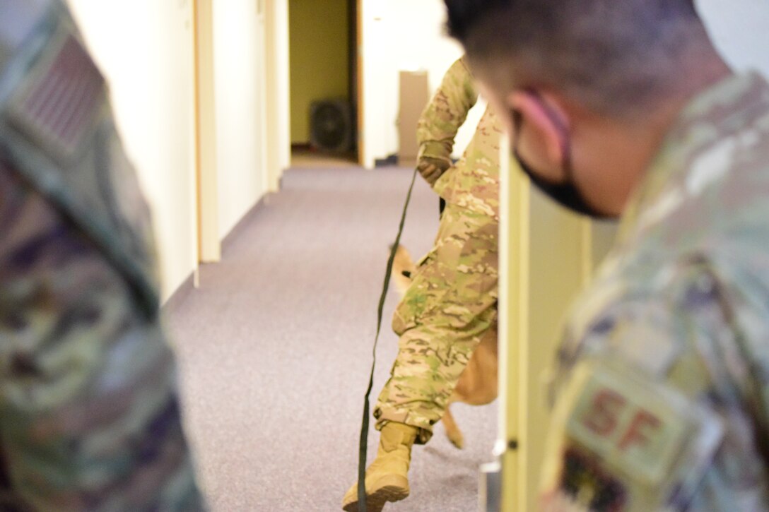 Staff Sgt. Juan Salinas, 341st Security Forces Squadron military working dog trainer, takes notes during the drug detection evaluation, Jan. 14, 2021 at the Chapel on Malmstrom AFB, Mont.