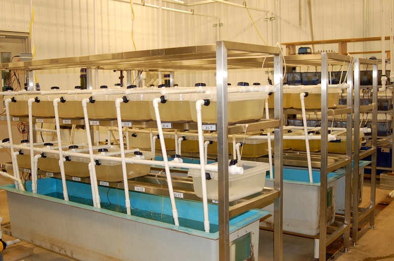 These are juvenile mussel culture systems at the Cumberland River Aquatic Center in Gallatin, Tennessee, Jan. 18, 2021. When the U.S. Army Corps of Engineers Nashville District lowered Lake Cumberland in Kentucky in 2008 to relieve pressure on Wolf Creek Dam, an agreement with the U.S. Fish and Wildlife Service to mitigate environmental impacts resulted in mitigation dollars being committed to the aquatic center. (Photo by Dan Hua)