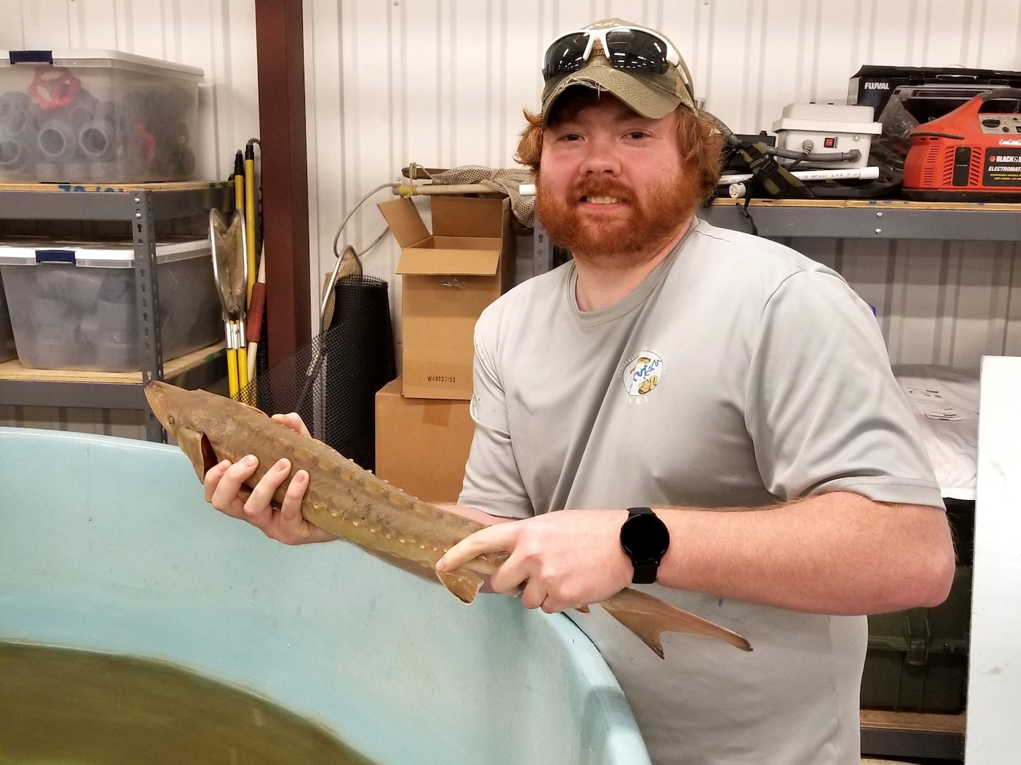 Matthew Bridgers, Tennessee Wildlife Resources Agency wildlife technician, holds a lake sturgeon at the Cumberland River Aquatic Center in Gallatin, Tennessee, Jan. 19, 2021. When the U.S. Army Corps of Engineers Nashville District lowered Lake Cumberland in Kentucky in 2008 to relieve pressure on Wolf Creek Dam, an agreement with the U.S. Fish and Wildlife Service to mitigate environmental impacts resulted in mitigation dollars being committed to the aquatic center. (Photo by David Sims)