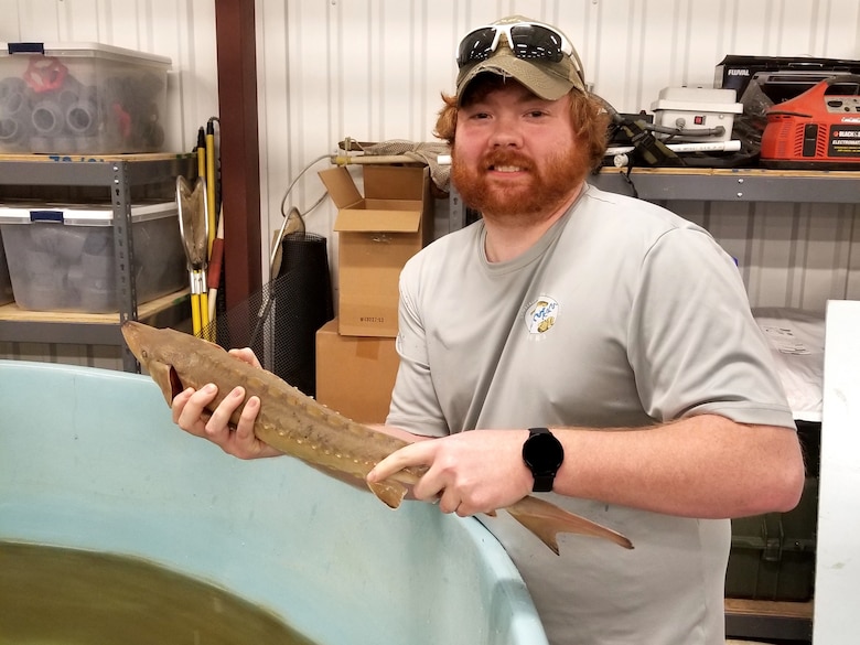 Matthew Bridgers, Tennessee Wildlife Resources Agency wildlife technician, holds a lake sturgeon at the Cumberland River Aquatic Center in Gallatin, Tennessee, Jan. 19, 2021. When the U.S. Army Corps of Engineers Nashville District lowered Lake Cumberland in Kentucky in 2008 to relieve pressure on Wolf Creek Dam, an agreement with the U.S. Fish and Wildlife Service to mitigate environmental impacts resulted in mitigation dollars being committed to the aquatic center. (Photo by David Sims)