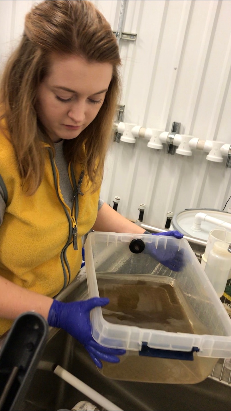 Morgin Arms, Tennessee Wildlife Resources Agency wildlife technician, assists with juvenile mussel sampling Dec. 2, 2019 at the Cumberland River Aquatic Center in Gallatin, Tennessee. When the U.S. Army Corps of Engineers Nashville District lowered Lake Cumberland in Kentucky in 2008 to relieve pressure on Wolf Creek Dam, an agreement with the U.S. Fish and Wildlife Service to mitigate environmental impacts resulted in mitigation dollars being committed to the aquatic center. (Photo by Dan Hua)