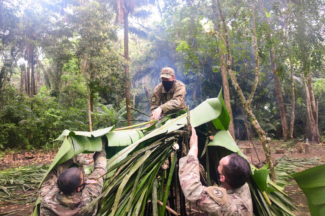 Airmen put leaves on a roof to build a shelter in a forest during training.
