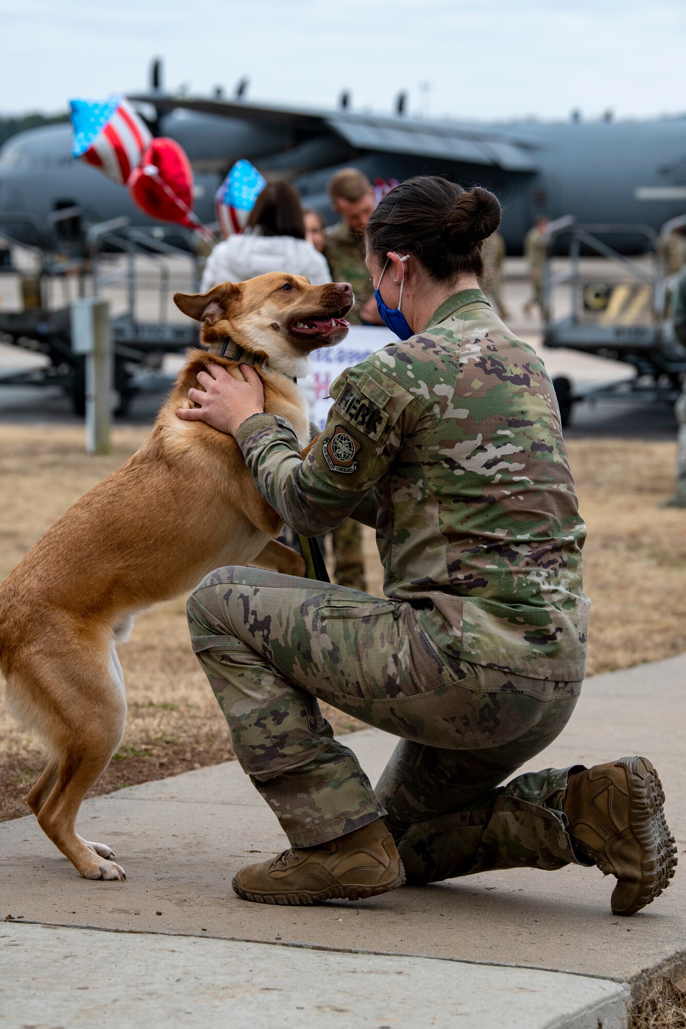 A person is greeted by a dog