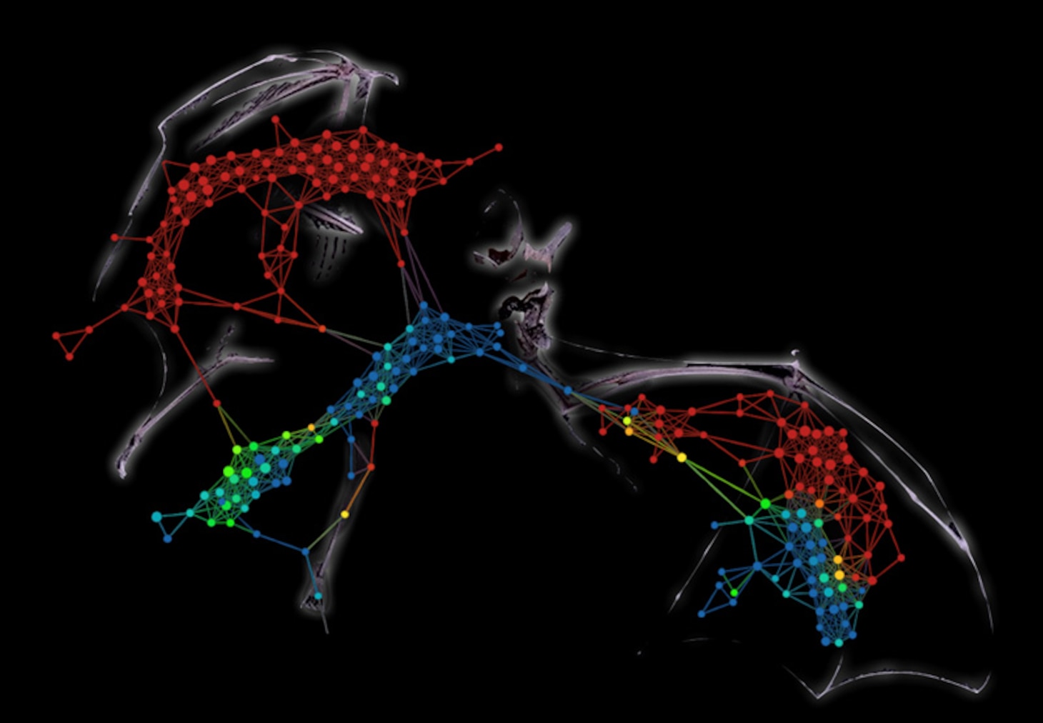 NRL Bio-inspired Adapted Techniques for Sensing, Actuation and Vocalization using Vibro-acoustics (BATSAVVi)