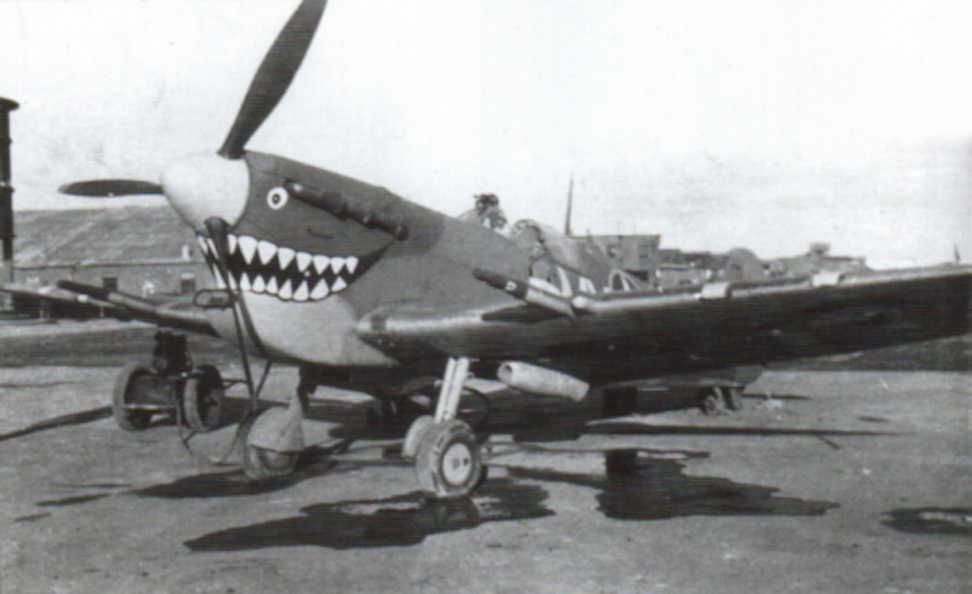 307th Spitfire VC (trop), Le Senia, Algeria, Nov/Dec 1942