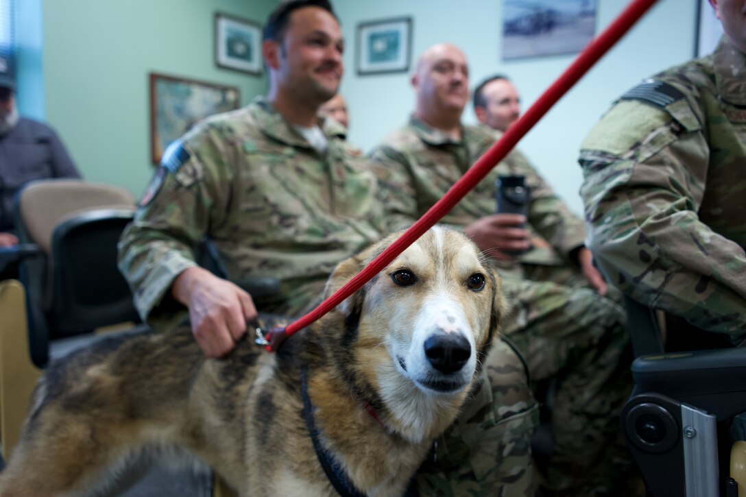 Musher thanks Arctic Guardians for Iditarod rescue