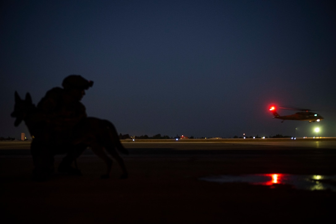 An airmen kneels next to a military working dog as a helicopter illuminated by red lights prepares to land.