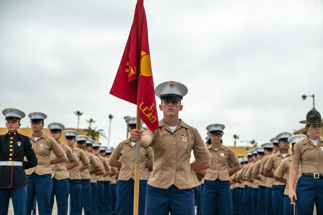 Marines stand in formation behind a Marine holding a flag.