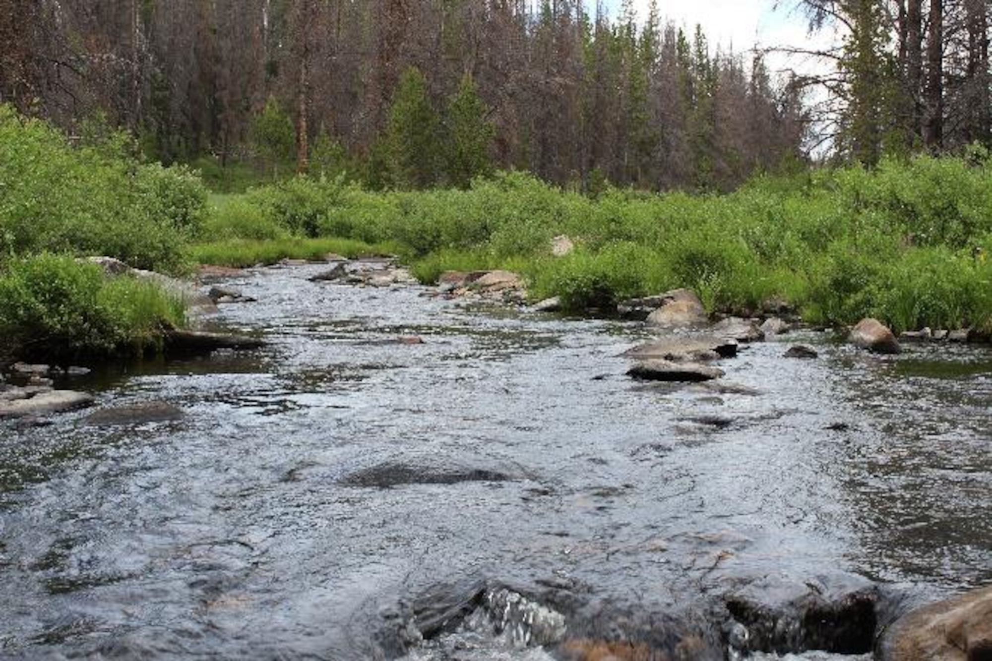 Report on the water quality for F.E. Warren Air Force Base, Wyoming, July 1, 2021. (Courtesy photo)