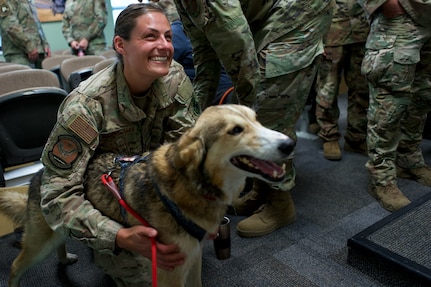 Sparky, a sled dog belonging to Iditarod musher Aliy Zirkle, visits Alaska Air National Guard Capt. Kelly Buschelman, 210th Rescue Squadron, June 28, 2021, at Joint Base Elmendorf-Richardson, Alaska. Airmen of 210th Rescue Squadron and 212th Rescue Squadron rescued Zirkle March 9 at the Iditarod Rohn checkpoint after she suffered a head injury.
