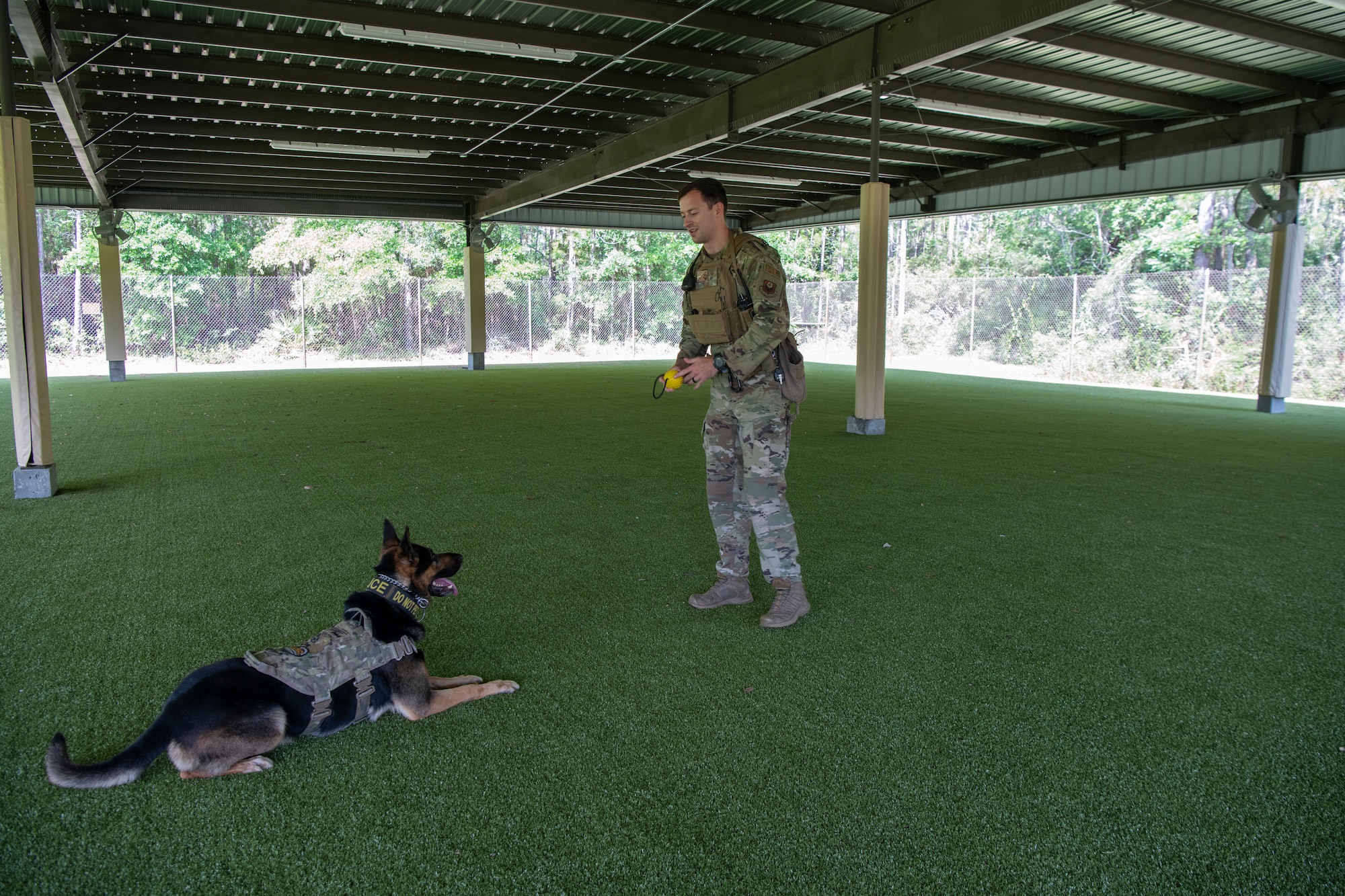 Military working dog training at the 1st Special Operations Security Forces Squadron kennel facility, Hurlburt Field, Florida.