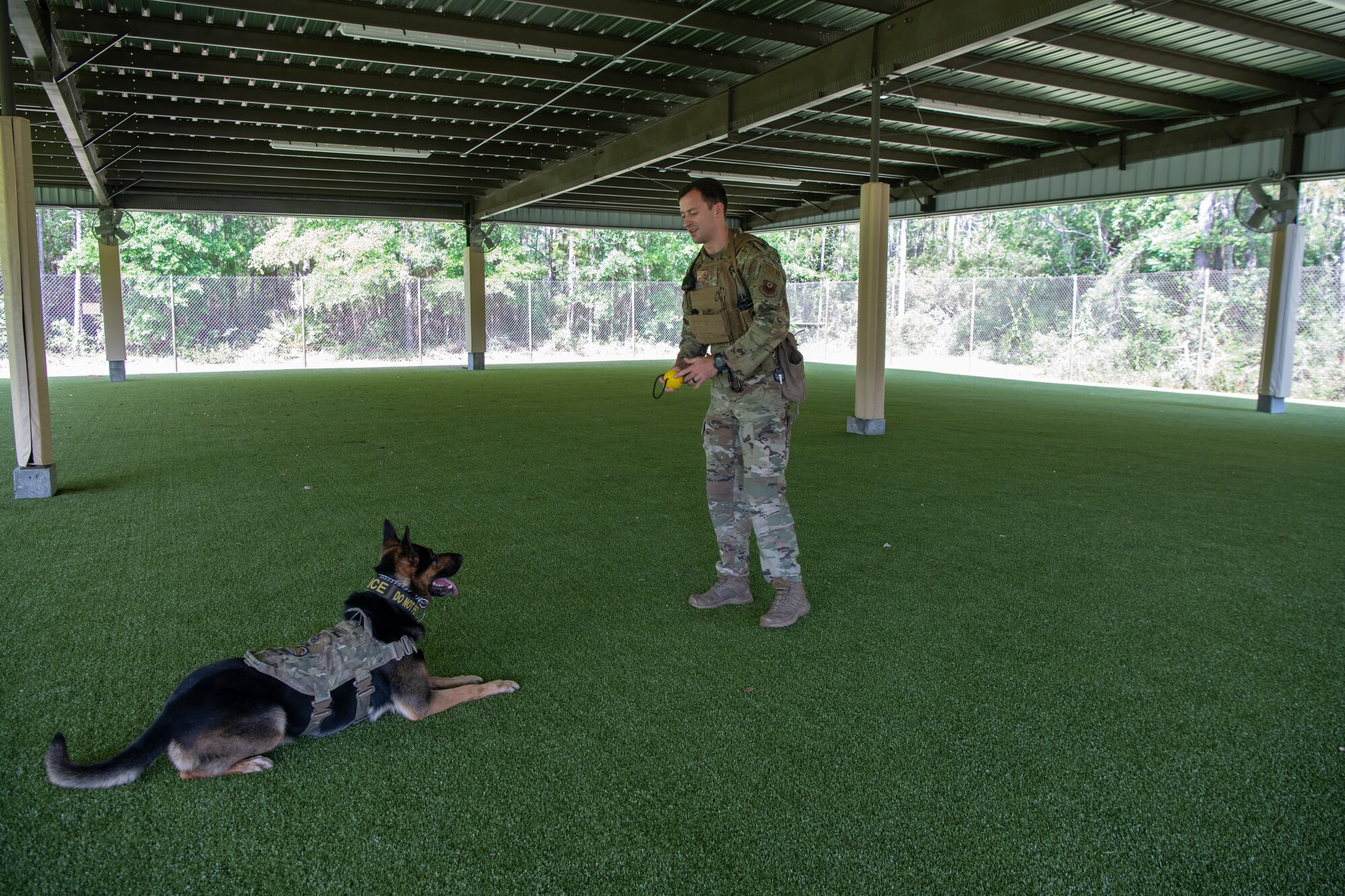 Military working dog training at the 1st Special Operations Security Forces Squadron kennel facility, Hurlburt Field, Florida.