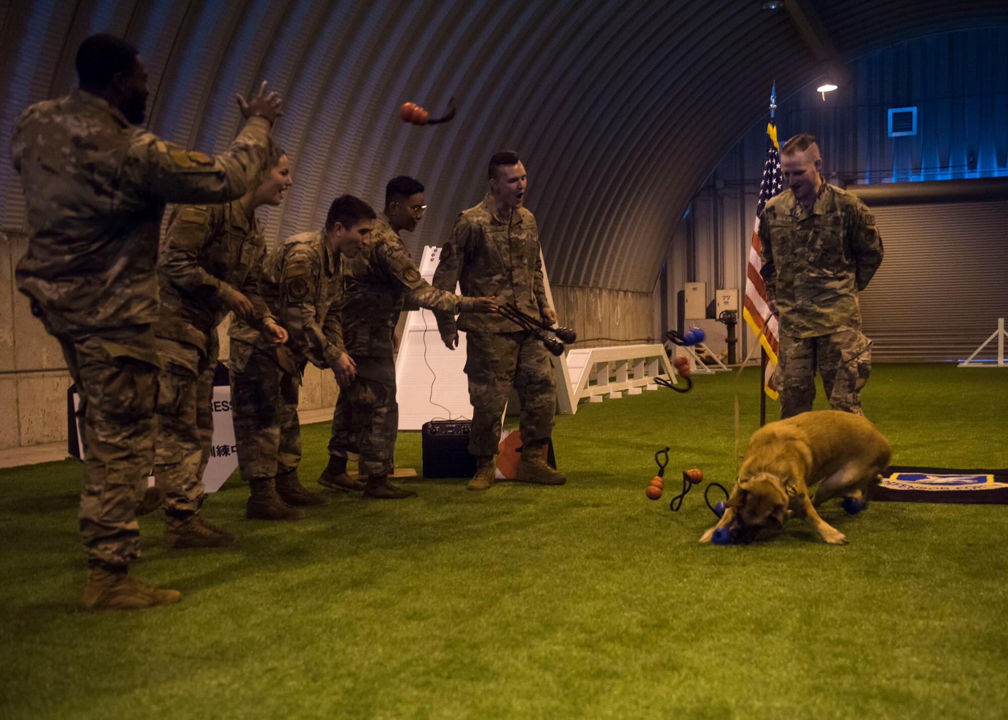 Group of military members throws multiple toys in the air, while a Military Working Dog plays.