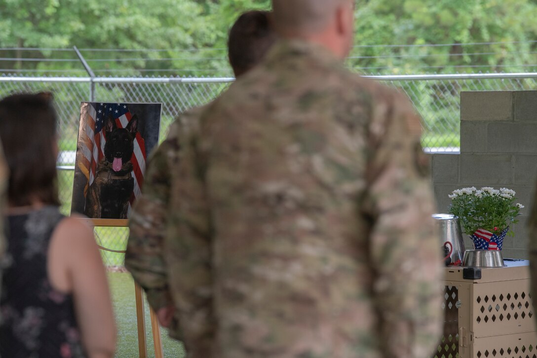 A photo of blurry airmen in the foreground and the Military Working Dog's official photo and dog crate in focus in the background.