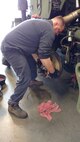 AMSA 133: “We’re a motor sergeant’s best friend”