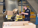 DLA police and local counterparts conduct canine focused force protection measure at DLA Distribution Susquehanna