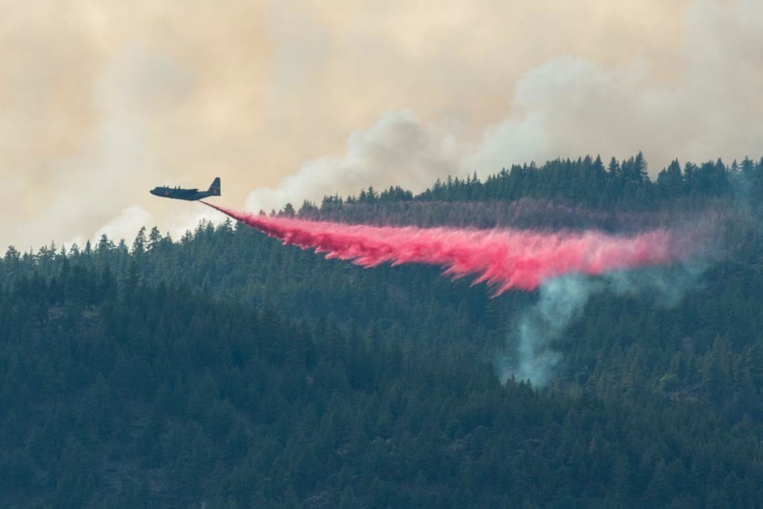 An aircraft drops retardant on a fire in the woods.