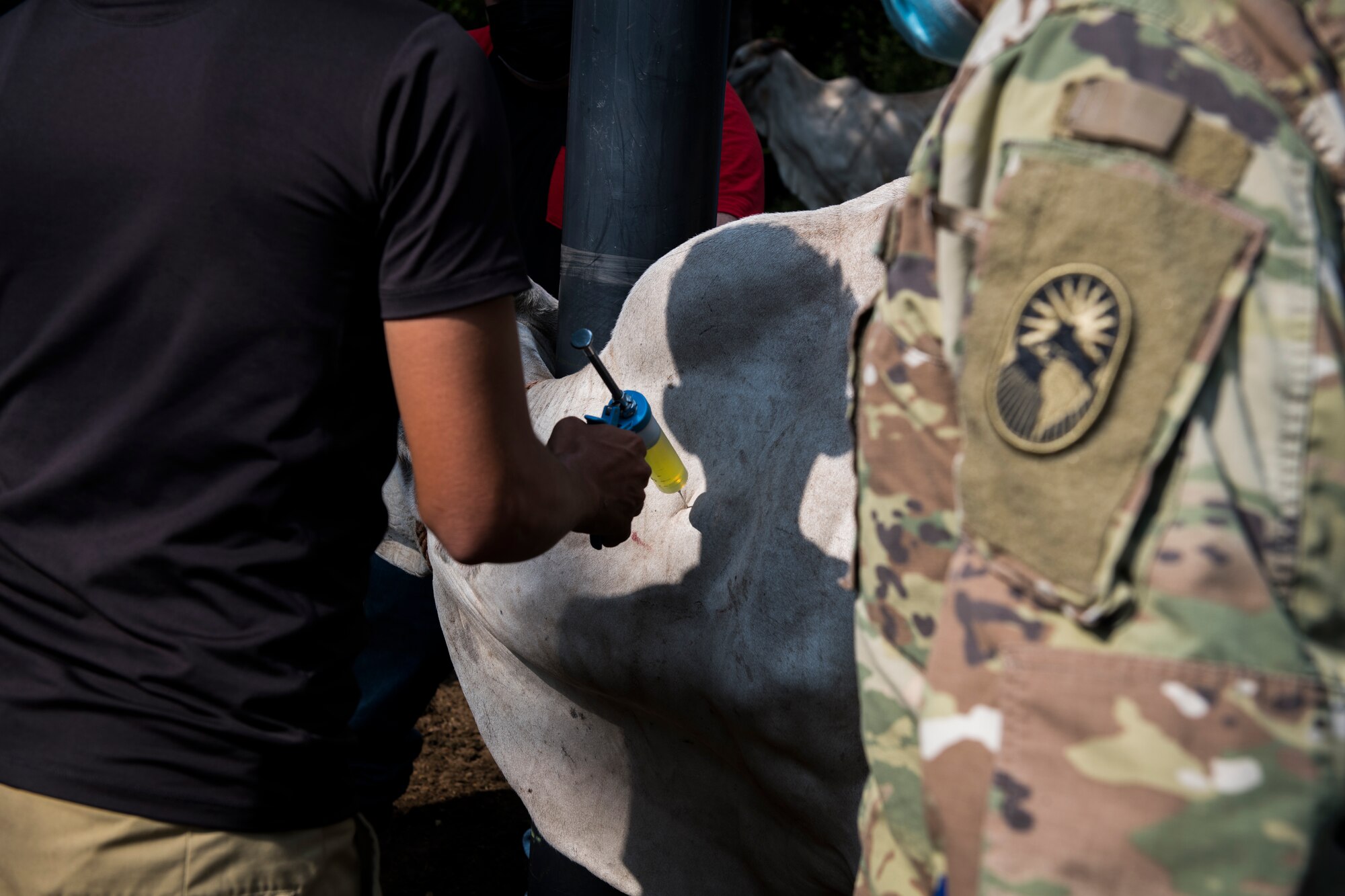 Members with the veterinary service provided an anthrax immunization, a blackleg immunization, a dewormer and vitamins to 305 cattle over two days.