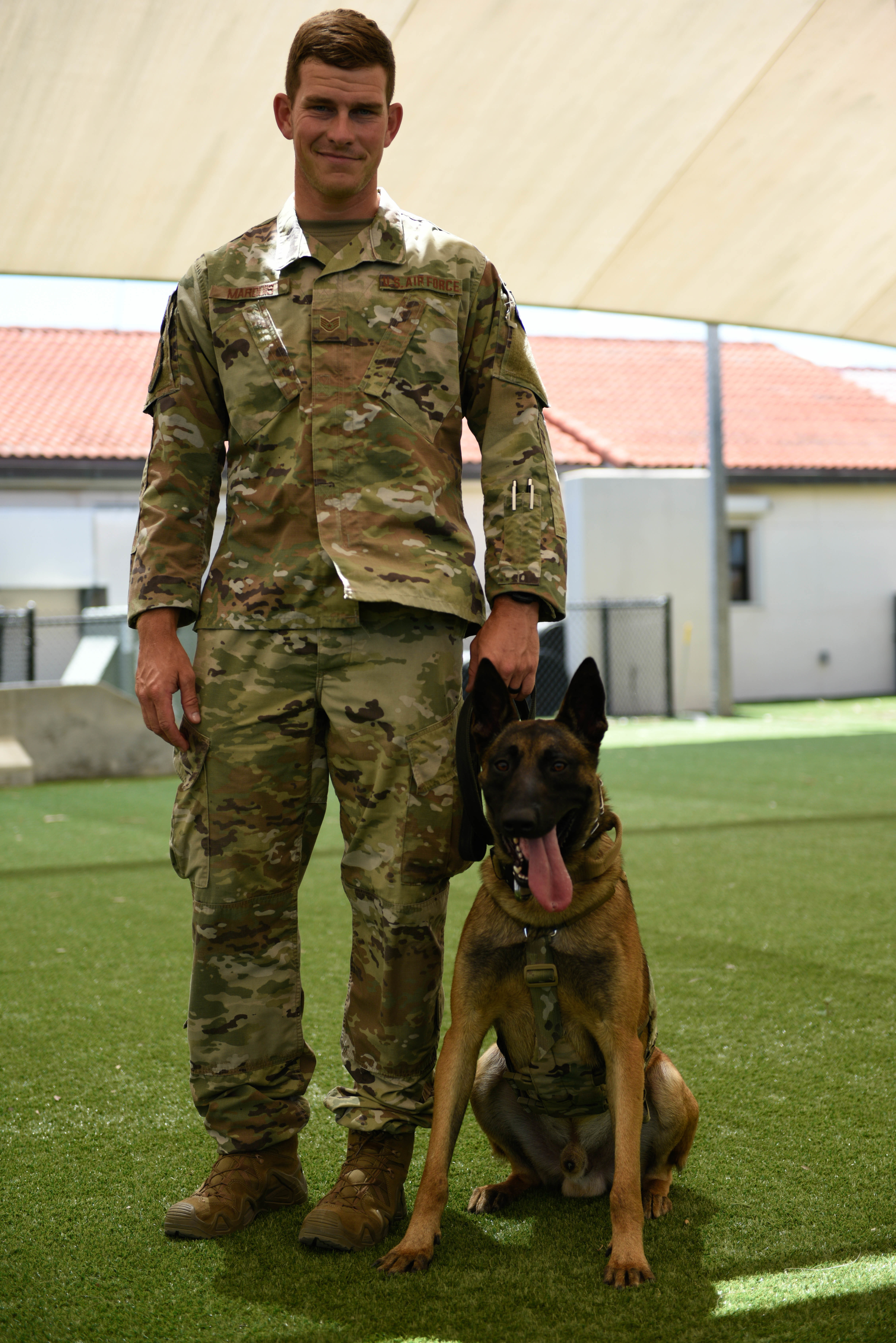 Air force k-9 online