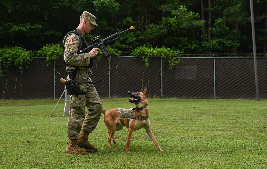 U.S. Army Specialist Taylor Blanton, 3rd Military Police Detachment, Military Working Dog handler, and Military Working Dog Maya, a 5-year-old Belgian Malinois assigned to the 3rd MPD, conduct gunfire training at Joint Base Langley-Eustis, Virginia, July 8, 2021. Maya specializes in substance detection, patrol work and controlled aggression. (U.S. Air Force photo by Senior Airman Sarah Dowe)