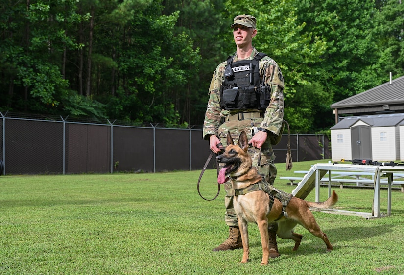 U.S. Army Specialist Taylor Blanton, 3rd Military Police Detachment, Military Working Dog handler, and Military Working Dog Maya, a 5-year-old Belgian Malinois assigned to the 3rd MPD, stand alert at Joint Base Langley-Eustis, Virginia, July 8, 2021. Blanton and Maya have been paired together as a MWD team for the past 8 months. (U.S. Air Force photo by Senior Airman Sarah Dowe)