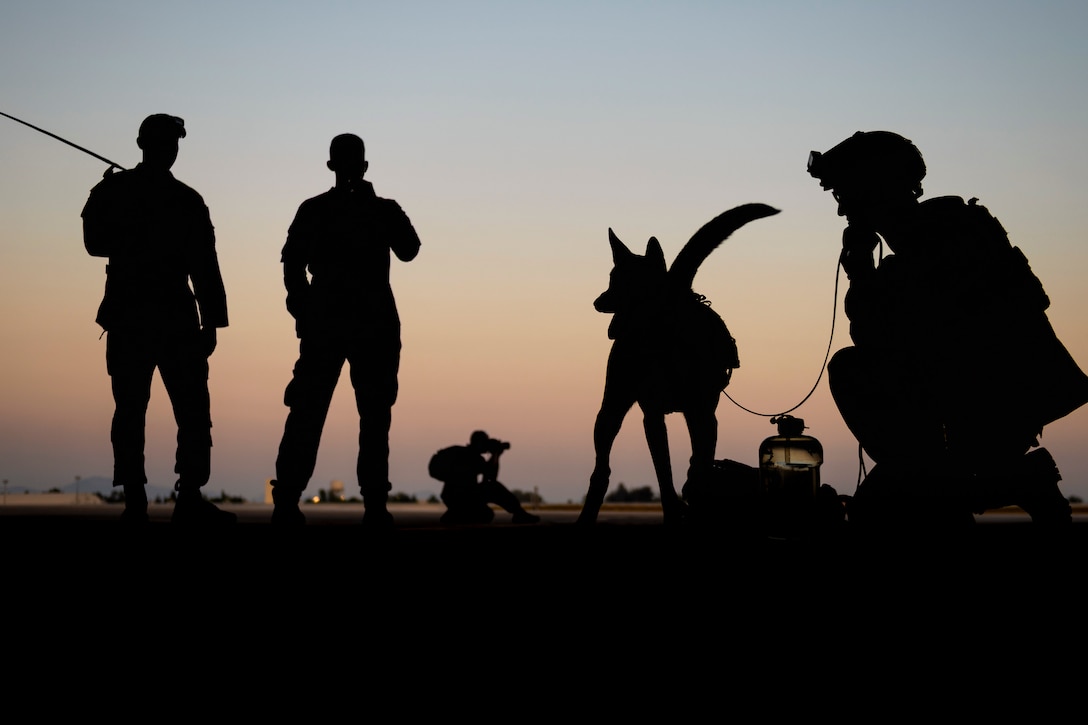 Silhouetted figures with equipment gather on a flightline, including a dog.