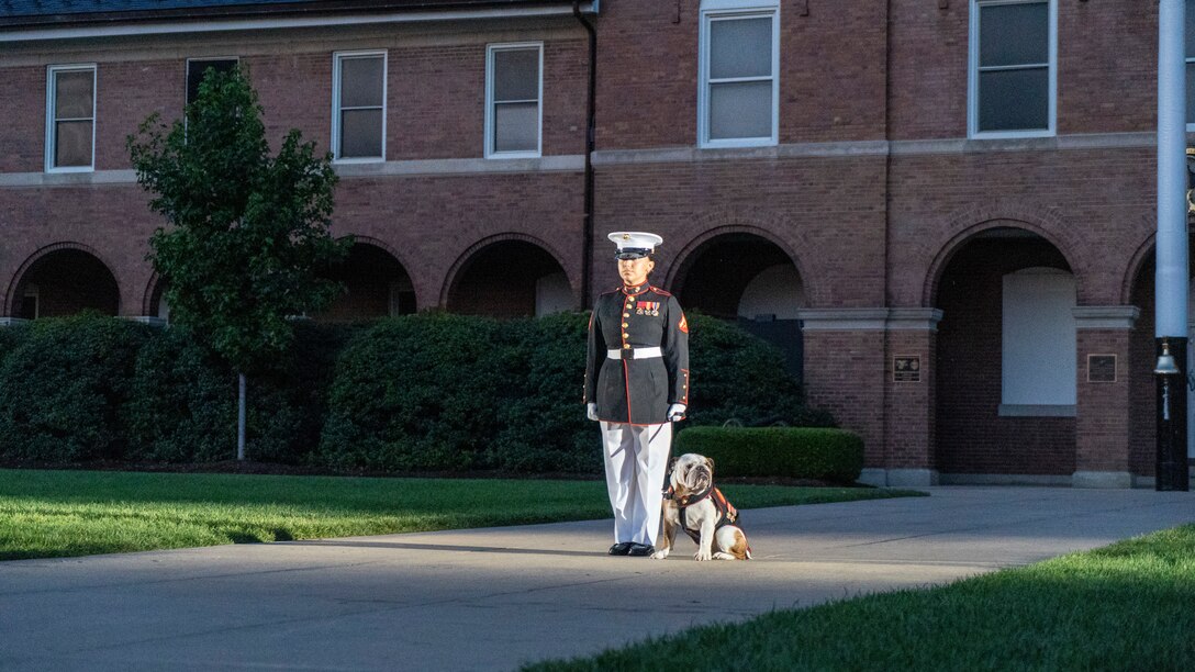 Lance Cpl. Rebekah Macias, mascot handler, Marine Barracks Washington, stands at attention with the official Marine Corps mascot, Lance Cpl. Chesty XV, during the Friday Evening Parade at MBW, July 9, 2021.
