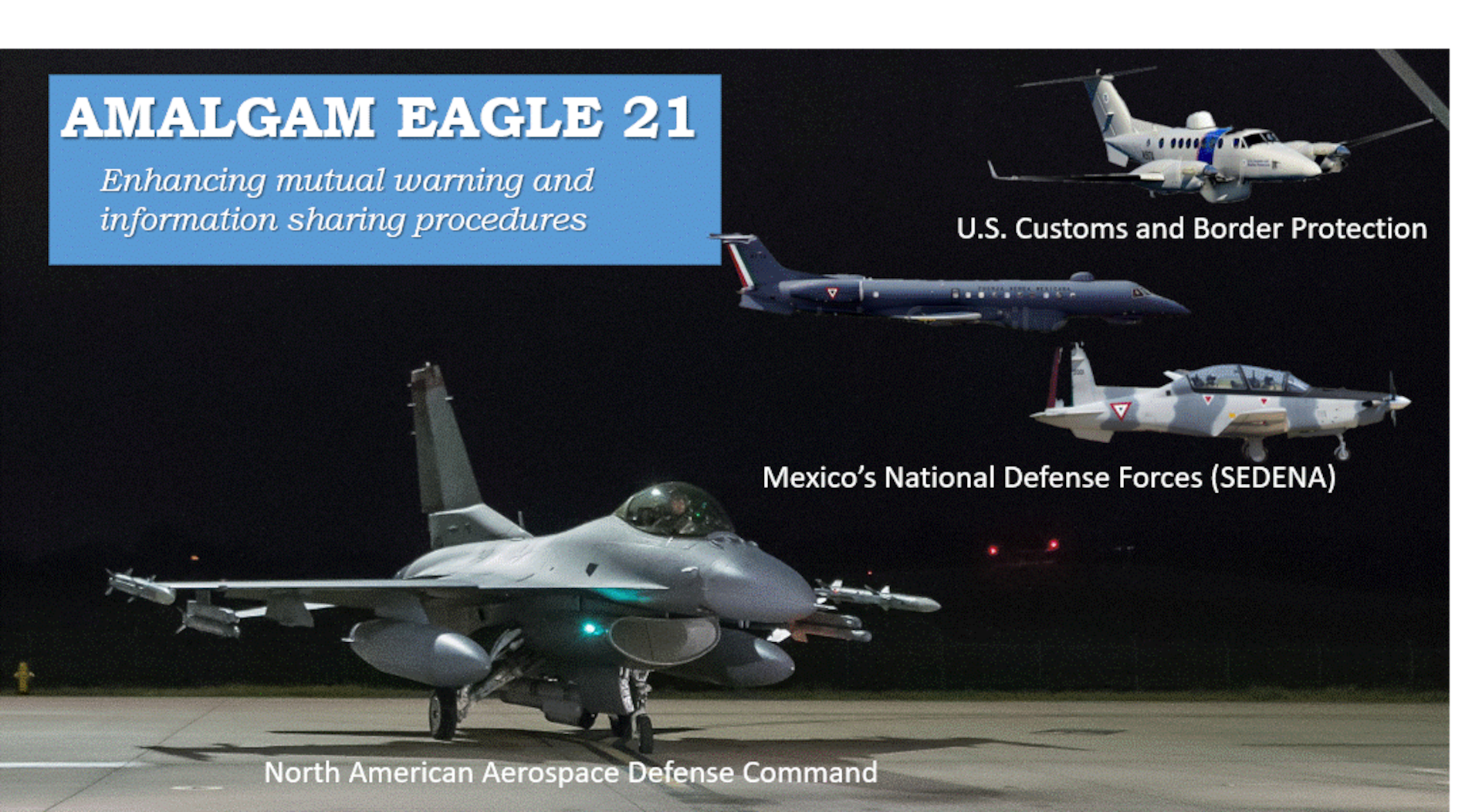 AMALGAM EAGLE-21 image