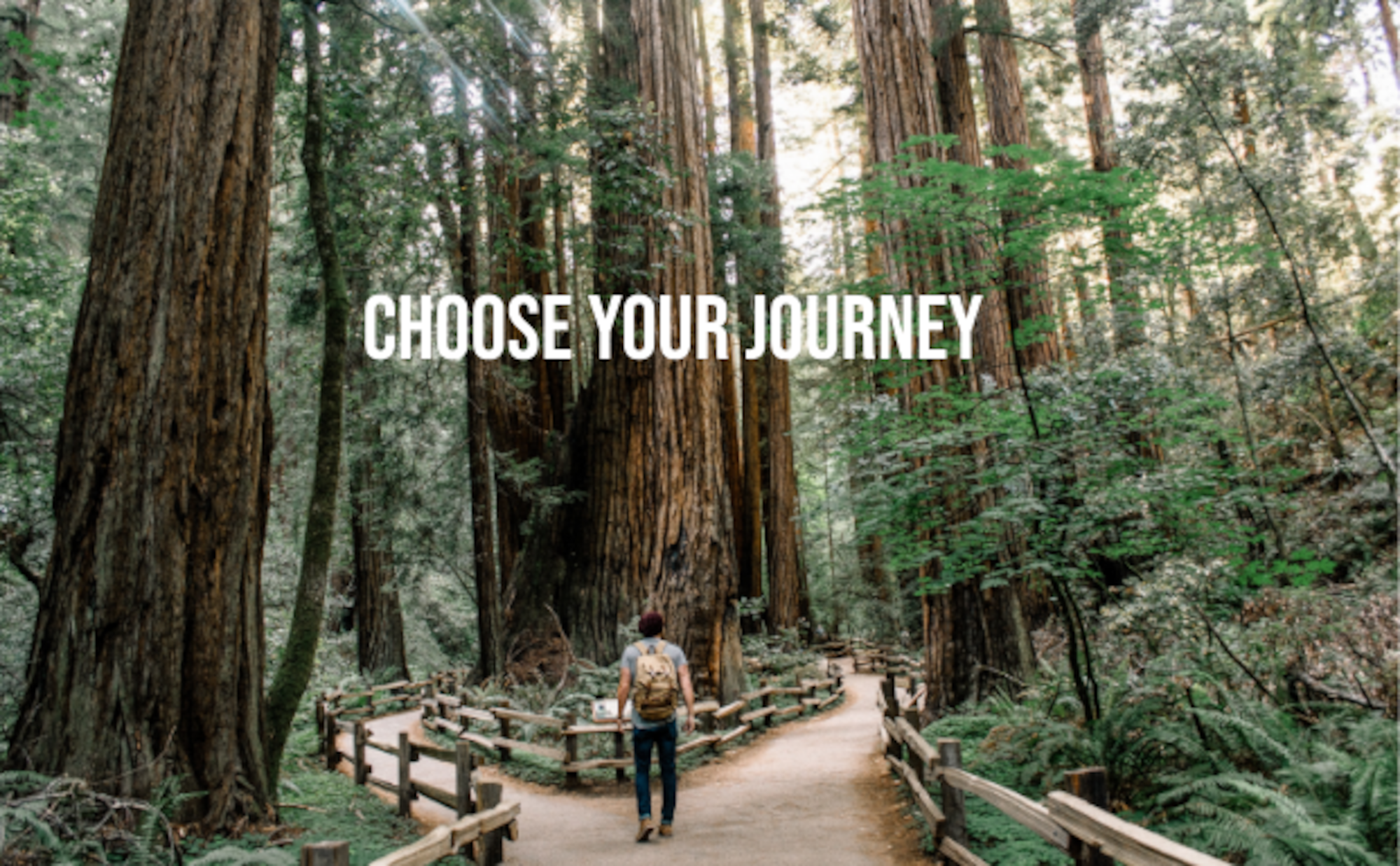 Choose your journey, man standing in front of two paths