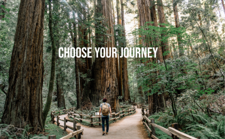 Choose your journey, man standing in front of two paths