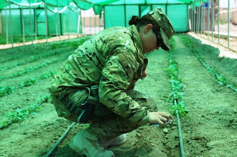 Corson is a soldier with Kentucky's Agribusiness Development Team 4, whose mission is help local farmers in the Kandahar province through agricultural and business education.