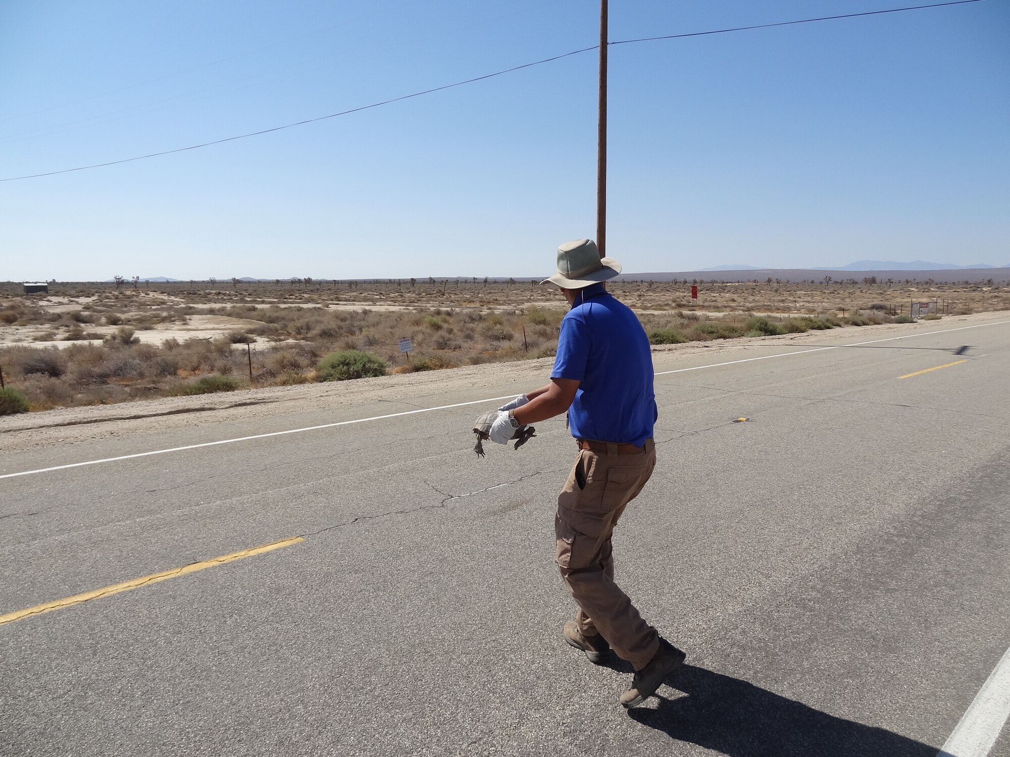 A biologist shows the right way to move a tortoise when necessary in an emergency to protect the animal’s health. (U.S. Air Force photo)