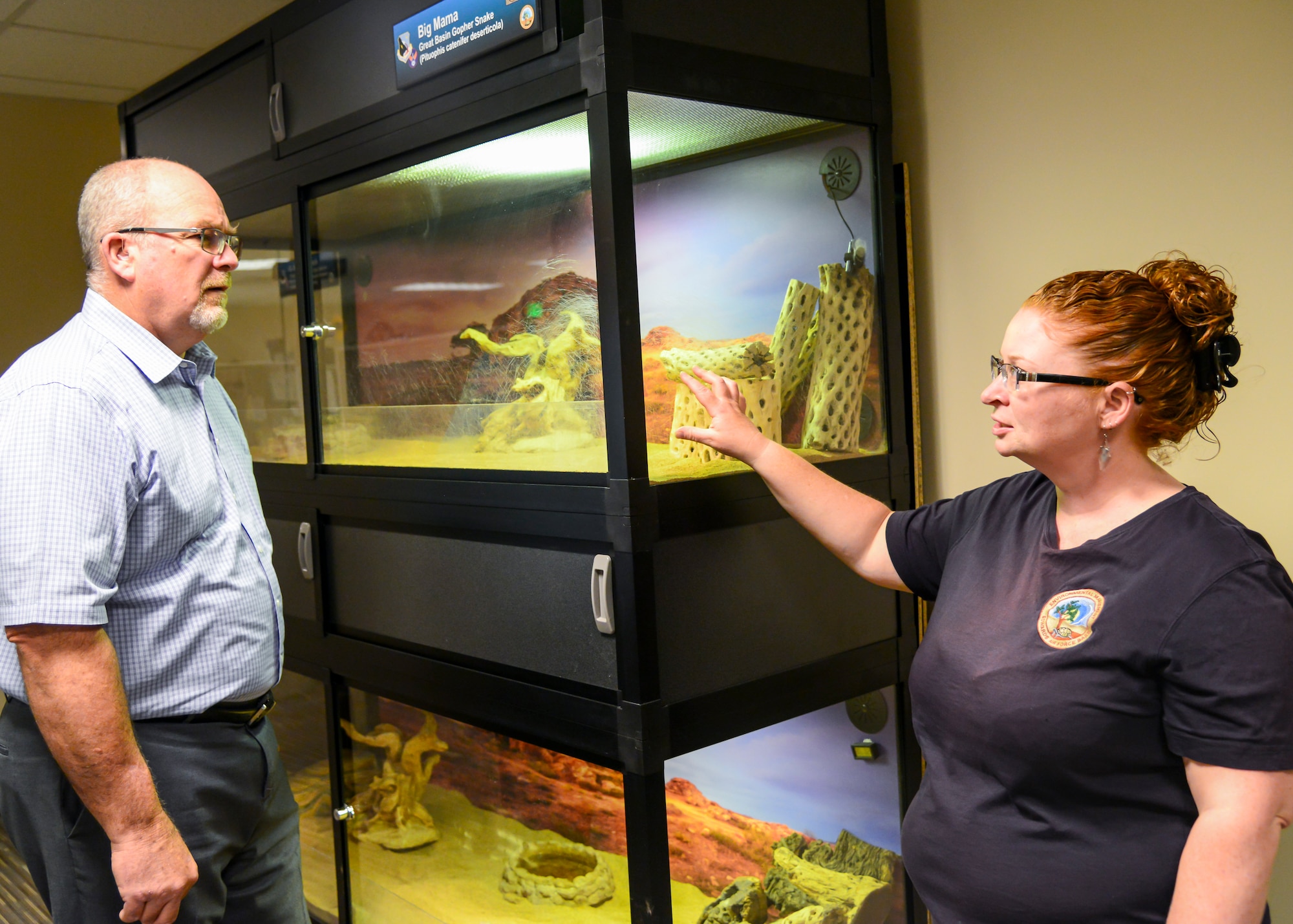 Herb Roraback, chief of Environmental Management and Misty Hailstone, a biologist in EM, discuss the scratches that Kali, the desert tortoise, left on the walls of a terrarium in EM, where she was kept briefly to recuperate after being hit by a car. (Air Force photo by Gary Hatch)