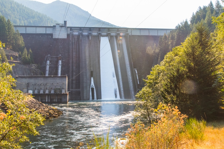 Water pours from a spillway at Detroit Dam on the North Santiam River, east of Salam, Oregon. The reservoir behind the 463-foot-tall dam can fluctuate up to 100 feet depending on the time of year. This is a factor that make fish ladders at high-head dams impractical. (U.S. Army photo by Jeremy Bell)