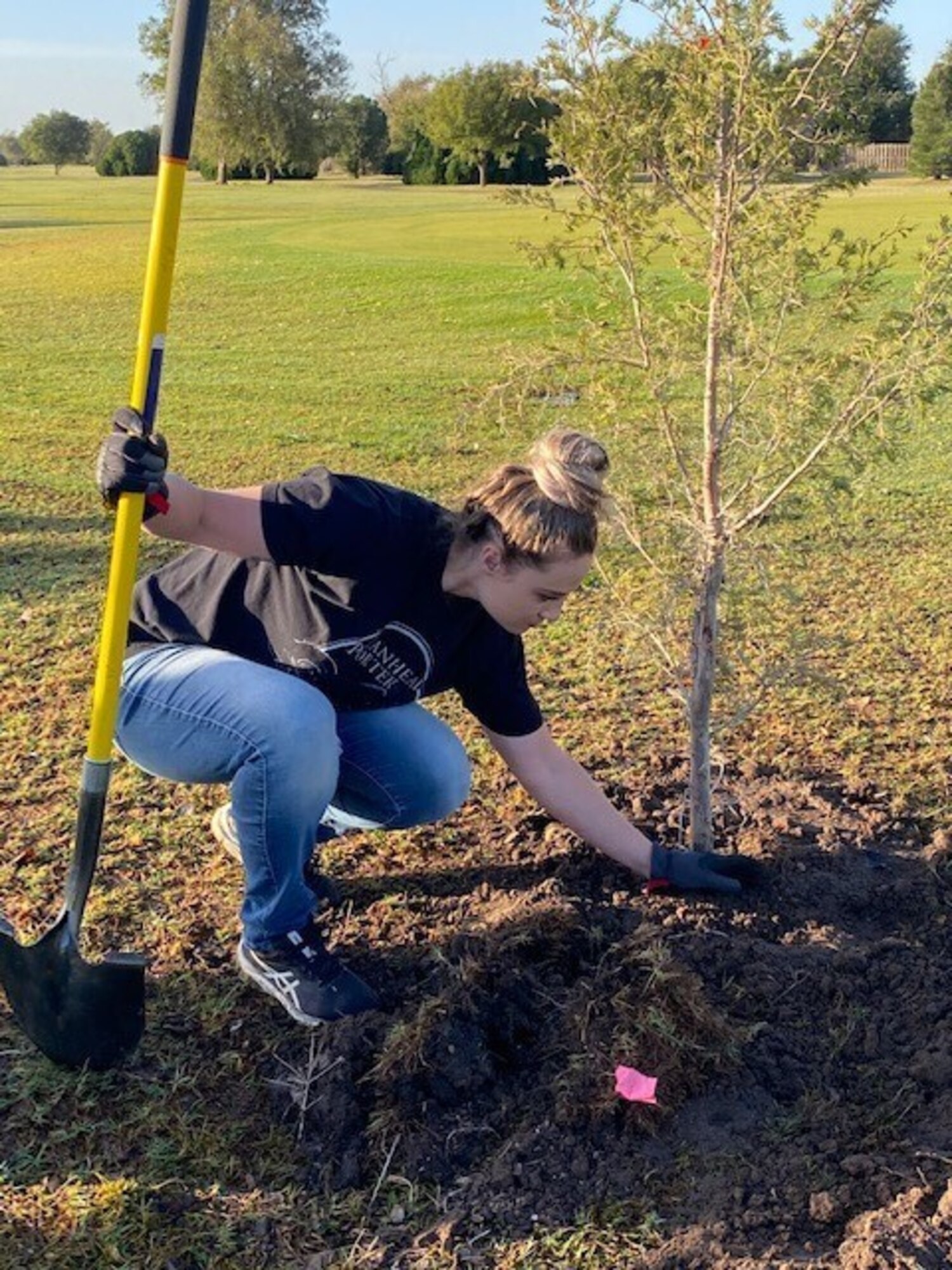 woman plants tree