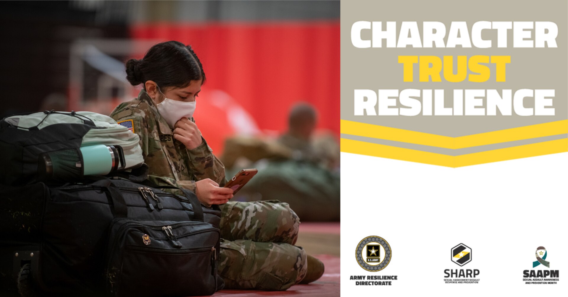 Graphic with the words character, trust, resilience