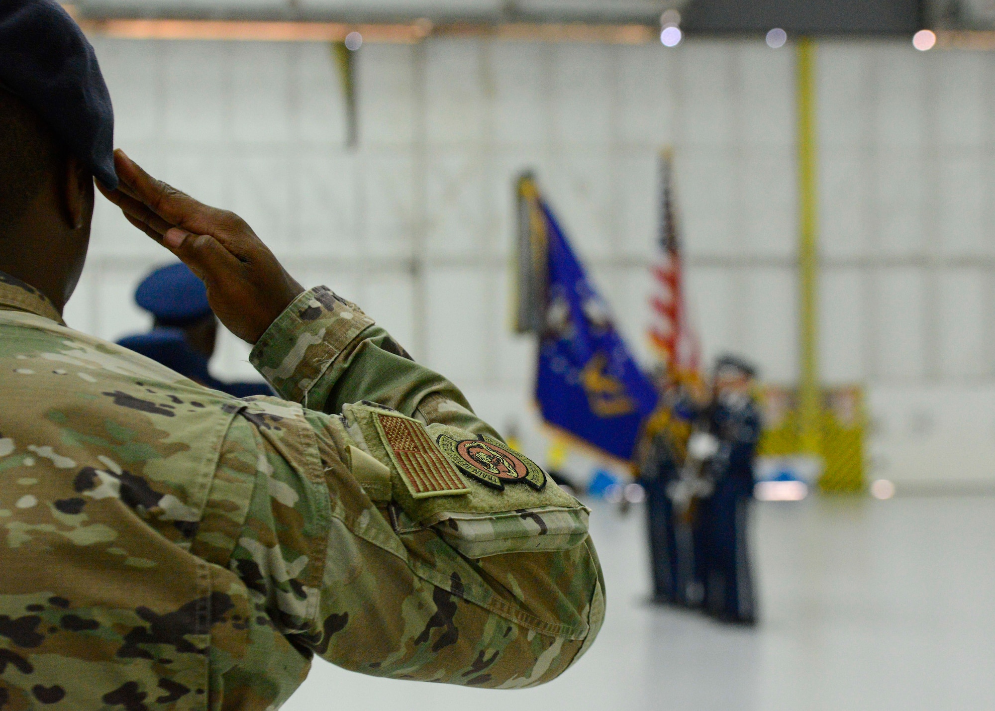 Man salutes flags