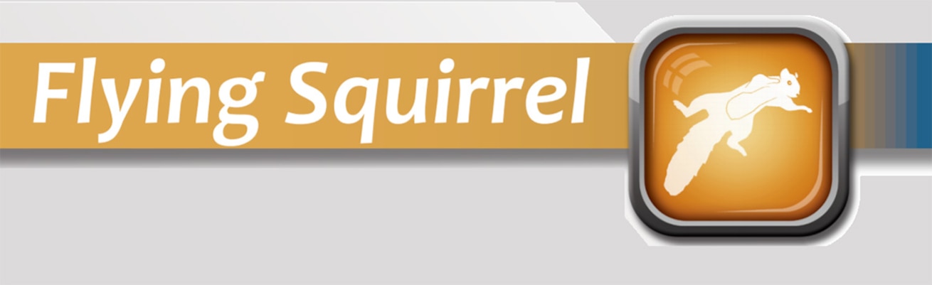 flying squirrel logo