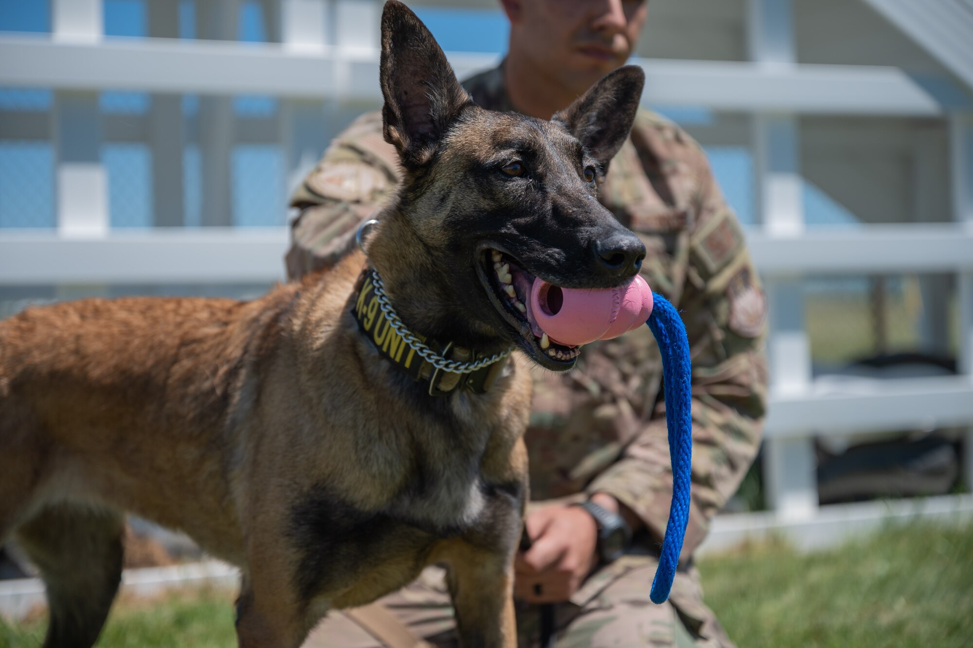 Photo of Airmen