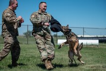 Photo of Airmen