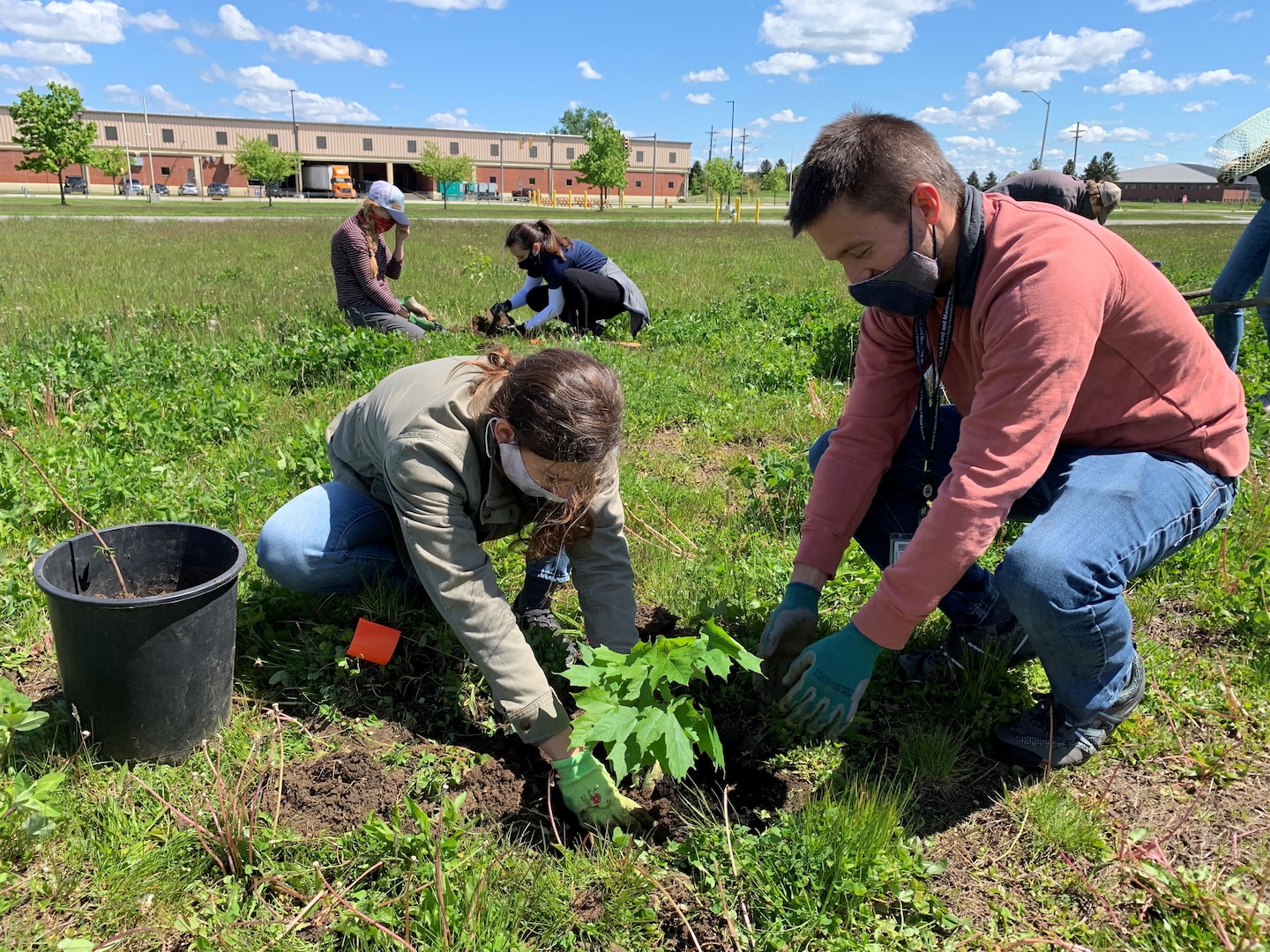 Planting trees