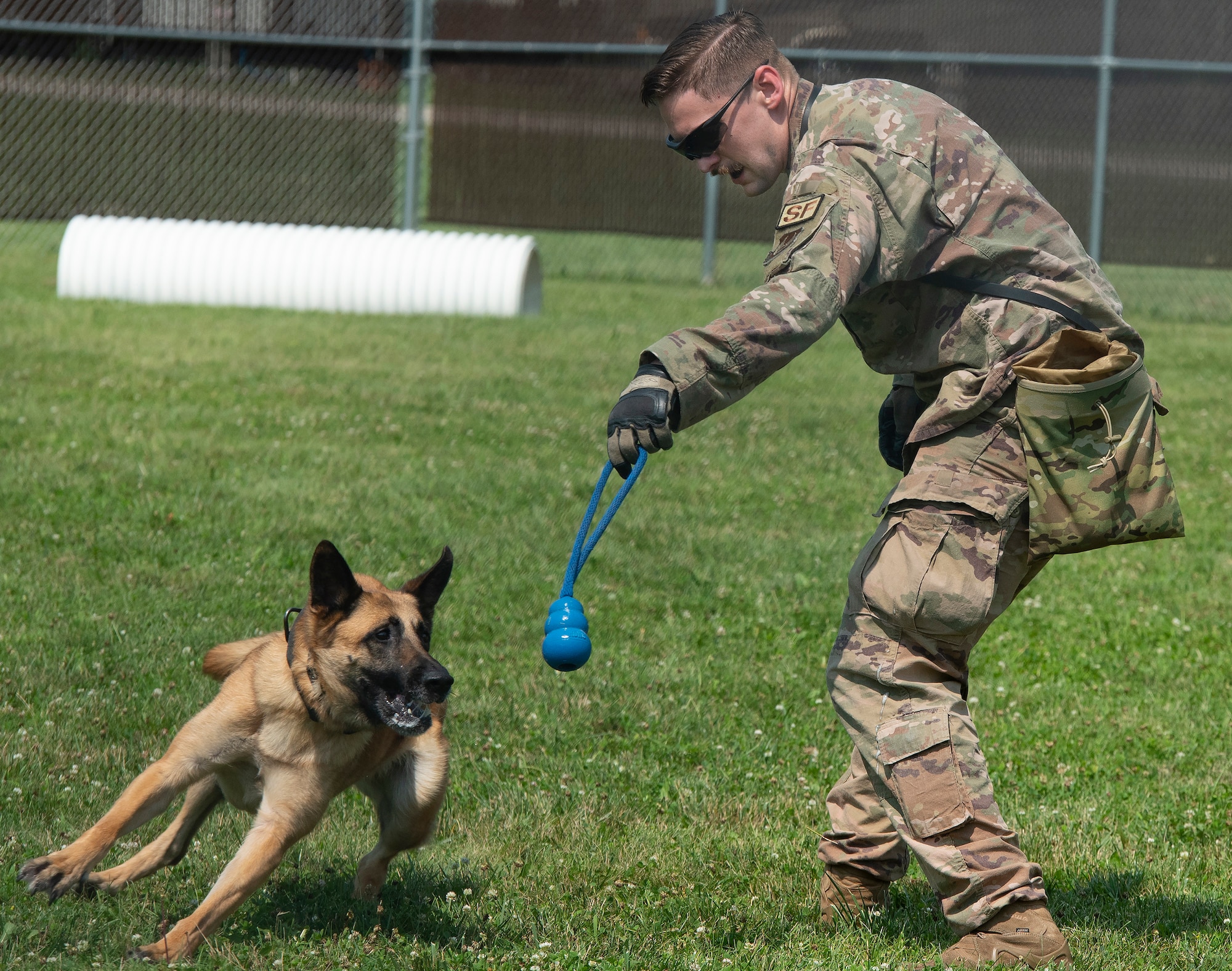 Tech. Sgt. William Sims, 88th Security Forces Squadron military working dog handler, works with Misha on July 14 during a demonstration for Leadership Dayton program members at Wright-Patterson Air Force Base. Sims talked to the group about the kennel’s training techniques and MWD mission. (U.S. Air Force photo by R.J. Oriez)