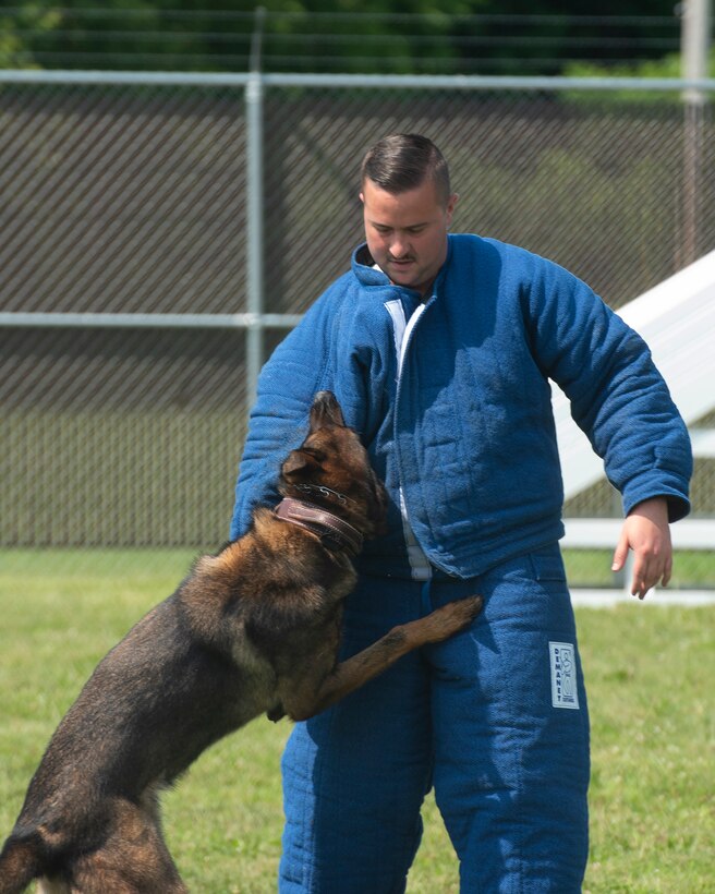 Staff Sgt. Tyler Adams, an 88th Security Forces Squadron military working dog trainer, works with Kerry on July 14 during a demonstration for Leadership Dayton program members at Wright-Patterson Air Force Base. The group heard about the kennel’s training techniques and MWD mission. (U.S. Air Force photo by R.J. Oriez)
