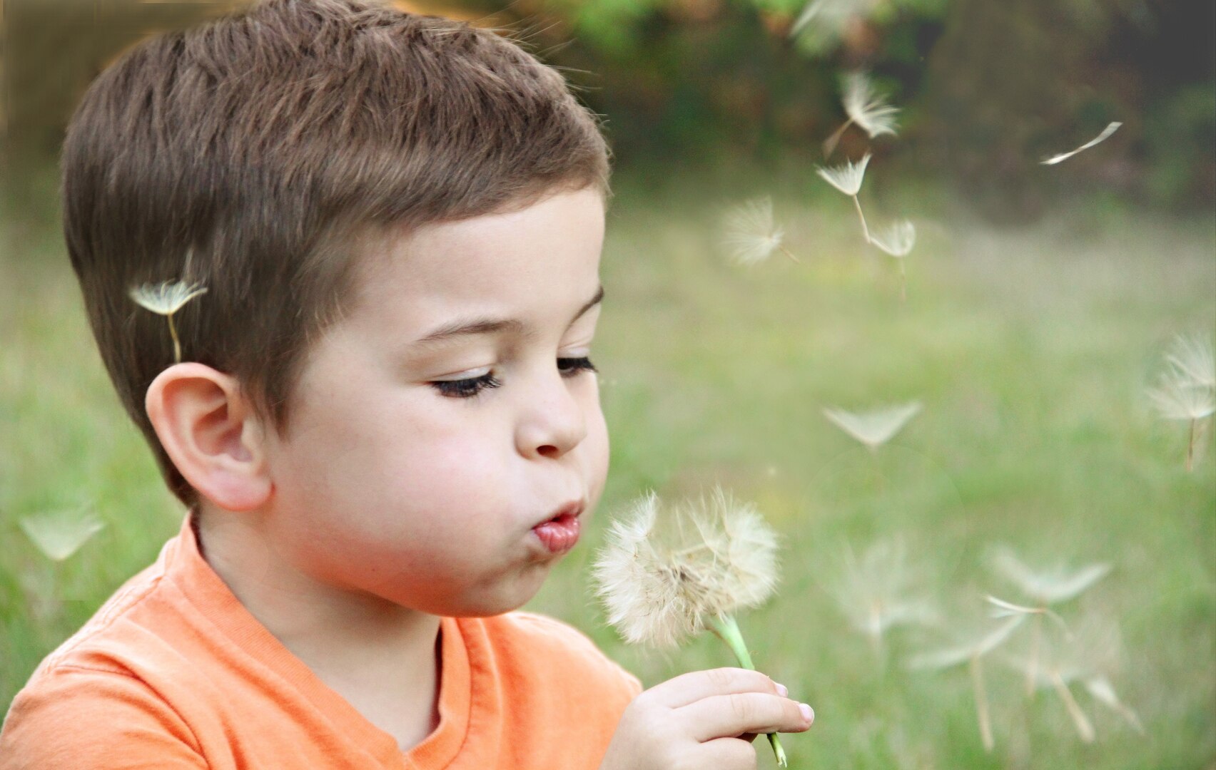 Young boy with dandelion