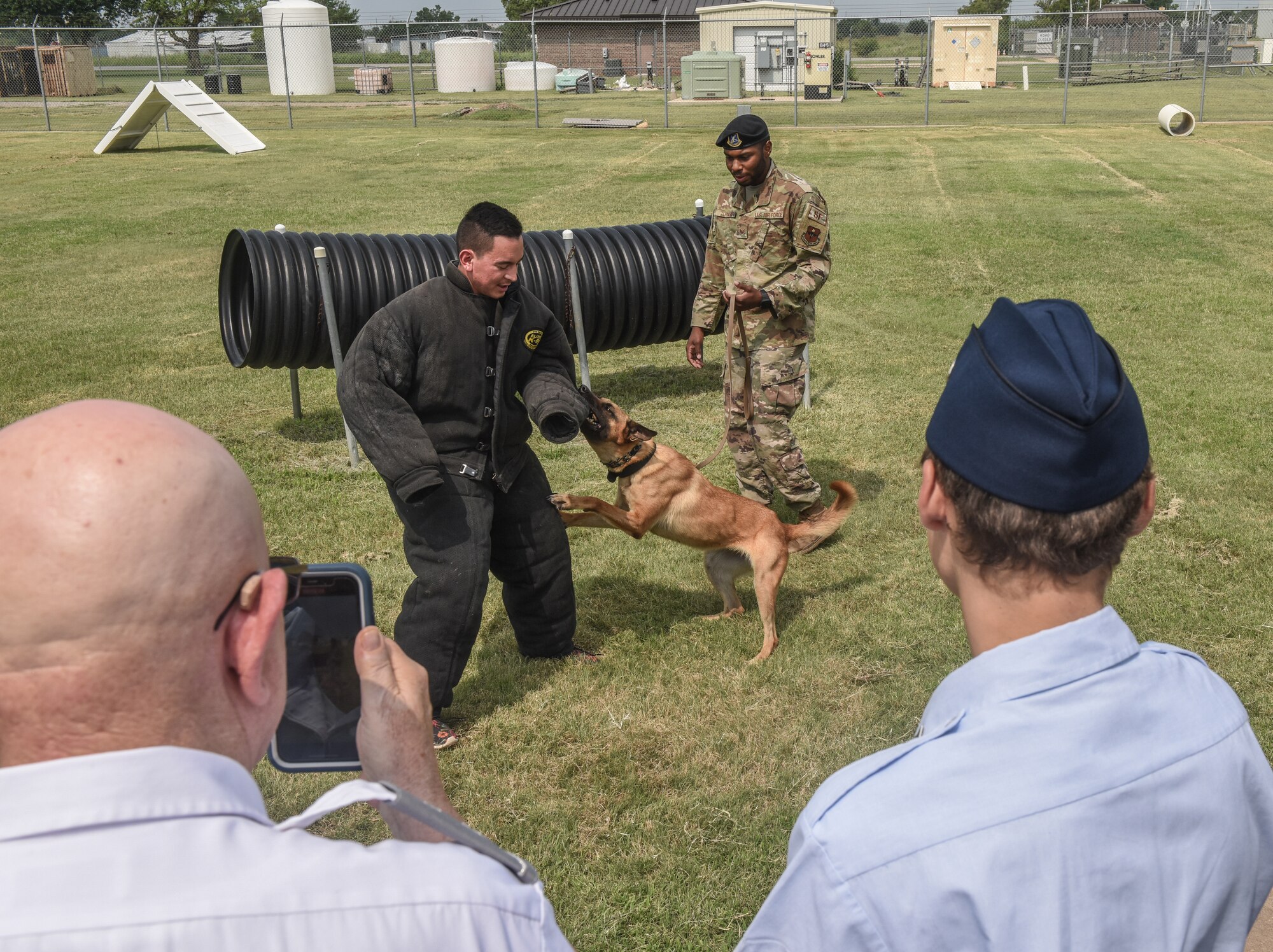 Dog practices biting man in protective suit