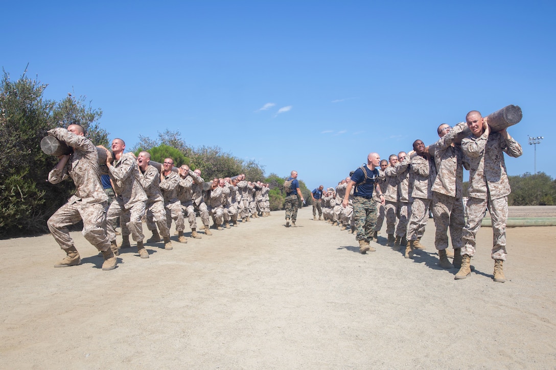 A group of Marine Corps recruits carry logs in two lines on either side of two drill sergeants.
