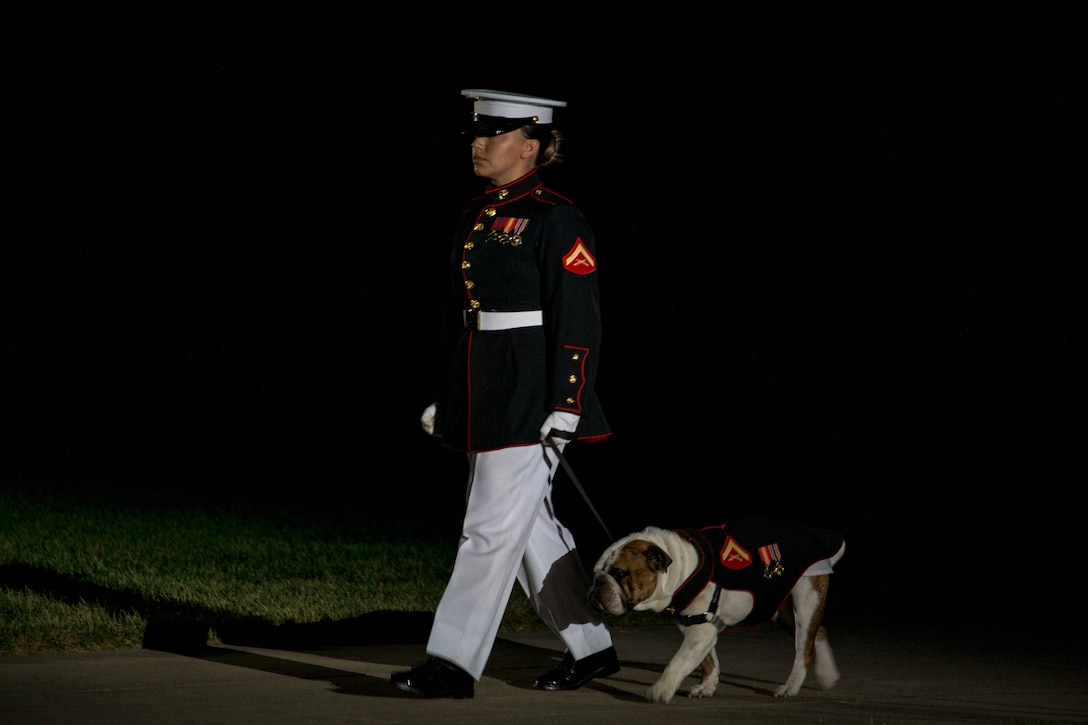 Lance Cpl. Rebekah Macias, mascot handler, Marine Barracks Washington, walks down Center Walk with the official Marine Corps mascot, Lance Cpl. Chesty XV, during the Friday Evening Parade at MBW, July 23, 2021.