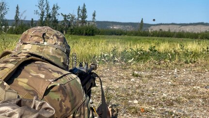 Indirect fire infantrymen with the Alaska Army National Guard’s 1st Battalion, 297th Infantry Regiment conducted live-fire training on various weapon systems at Donnelly Training Center, near Fort Greely, Alaska, July 19, during their annual training event.