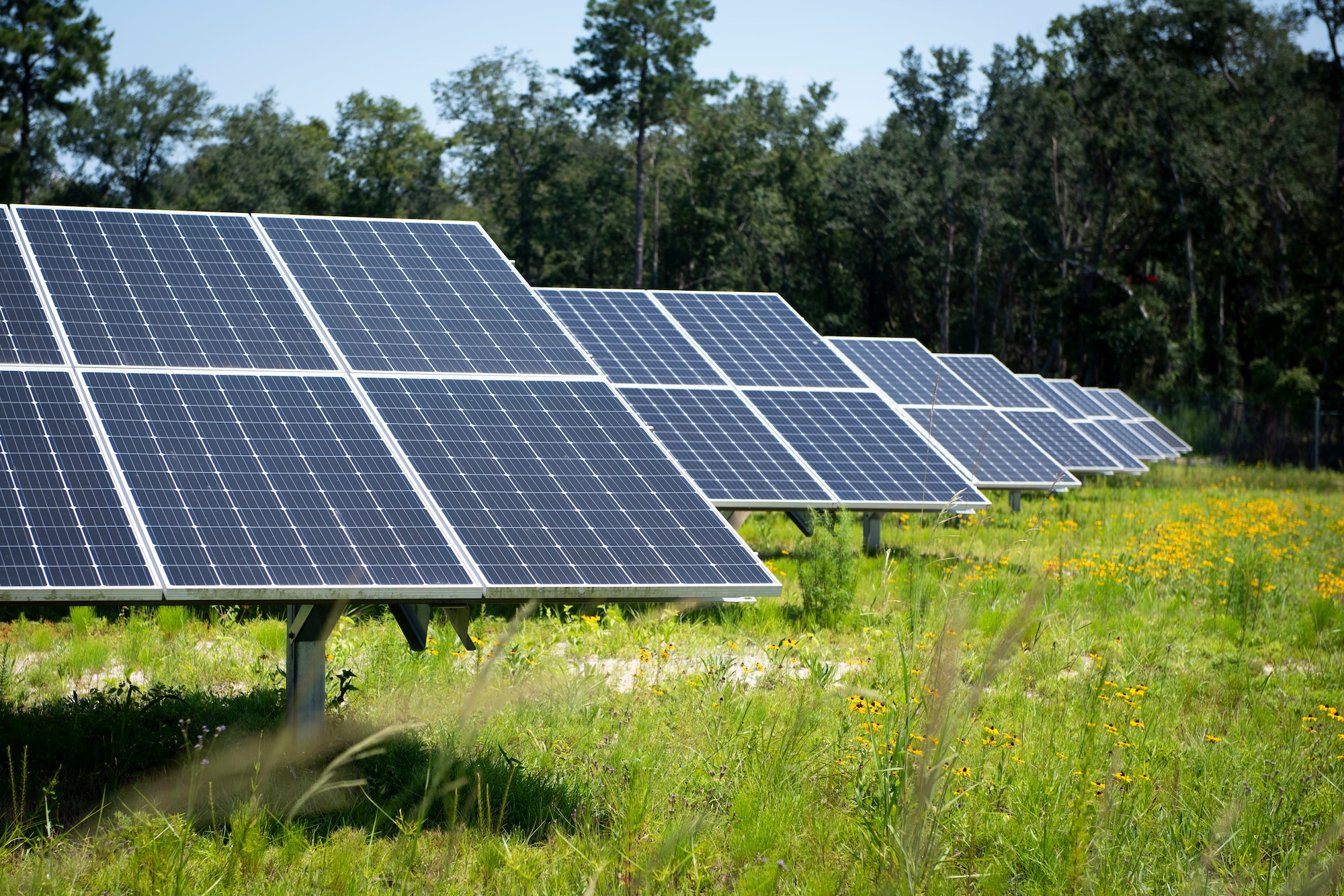 A photo of solar panels in field.