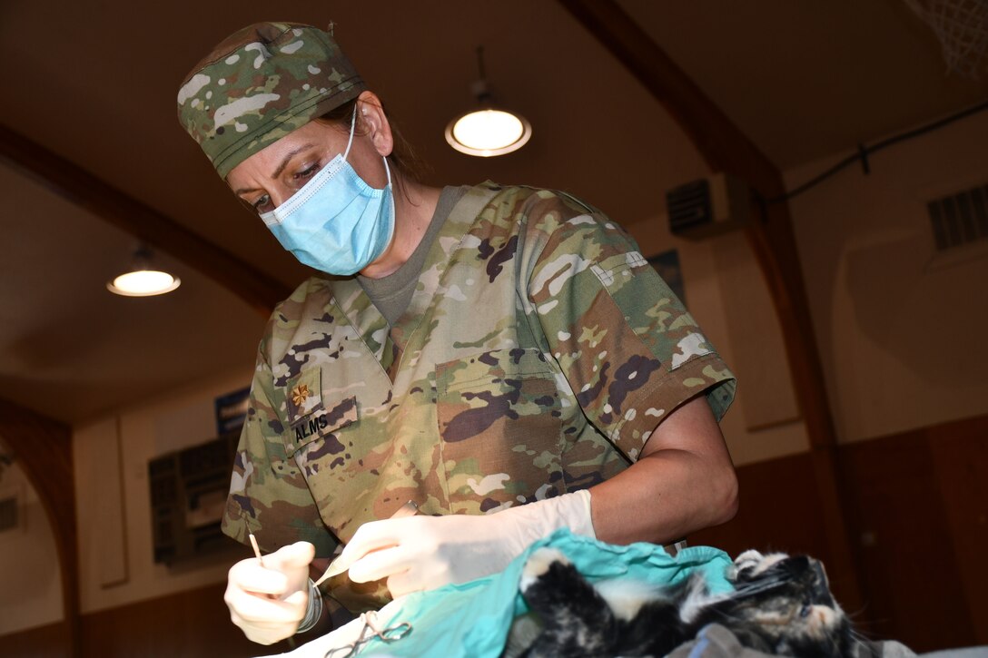 Innovative Readiness Training provides Army Reserve Medical Command Soldiers unique training opportunity